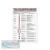 Health Hazards in The Workplace Poster 420x600mm PG23